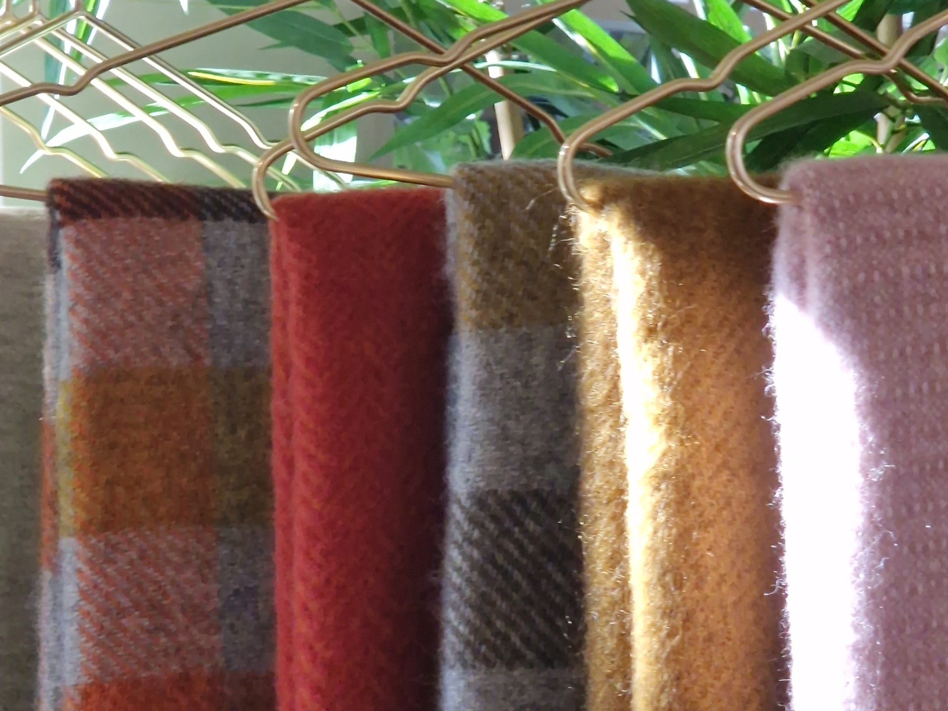 Bonheur winkel